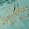 Luxe Metallic Logo Hooded Dress