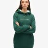 Luxe Metallic Logo Hoodie Dress