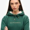 Luxe Metallic Logo Hoodie Dress