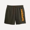 Sport Graphic 17-Inch Recycled Swim Shorts