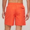 Sport Graphic 17-Inch Recycled Swim Shorts