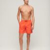 Sport Graphic 17-Inch Recycled Swim Shorts
