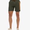 Sport Graphic 17-Inch Recycled Swim Shorts